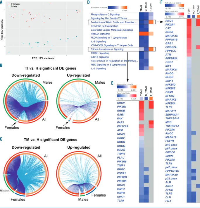 Figure 2. Differential gene expression analysis of β-thalassemia patients against healthy participants according to sex