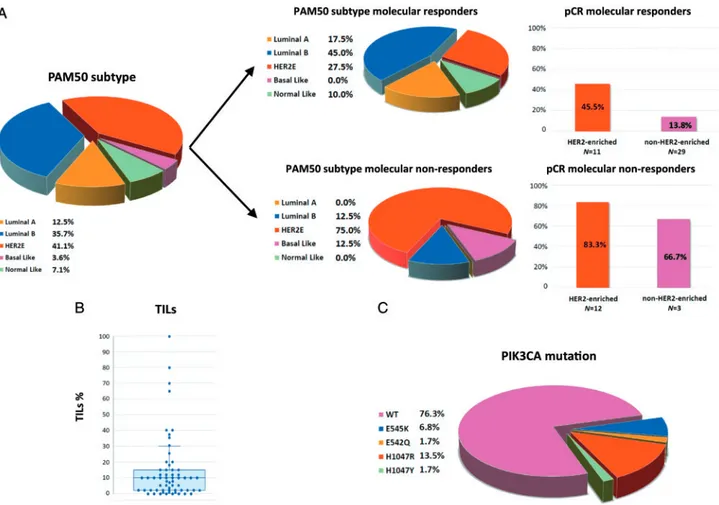 Figure 1. Correlative science results: tumor-inﬁltrating lymphocytes (TILs), PIK3CA status and PAM50 intrinsic subtype at baseline (all patients)