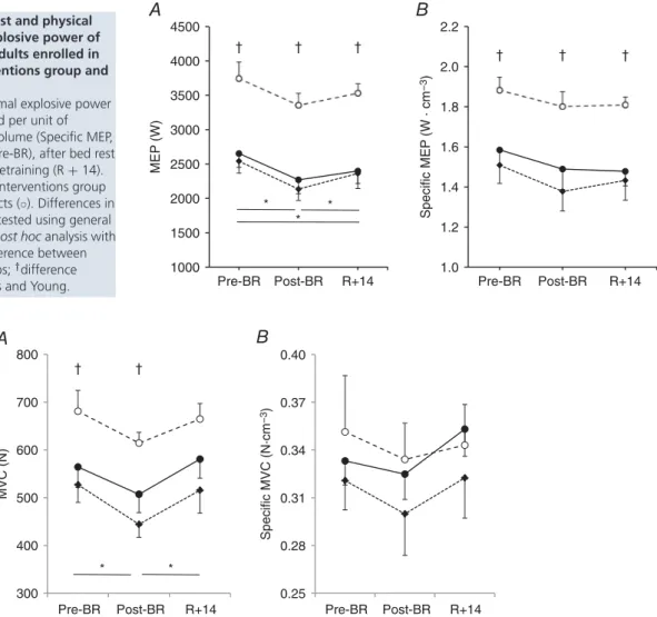 Figure 1. Effects of bed rest and physical retraining on maximal explosive power of the lower limbs in older adults enrolled in the Control group, Interventions group and Young subjects