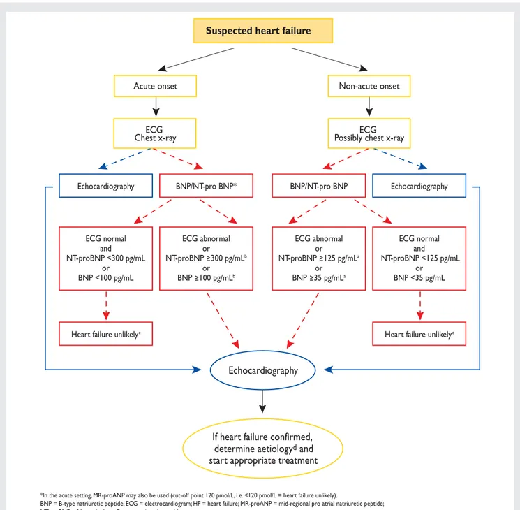 Figure 1 Diagnostic flowchart for patients with suspected heart failure—showing alternative ‘echocardiography first’ (blue) or ‘natriuretic peptide first’ (red) approaches.