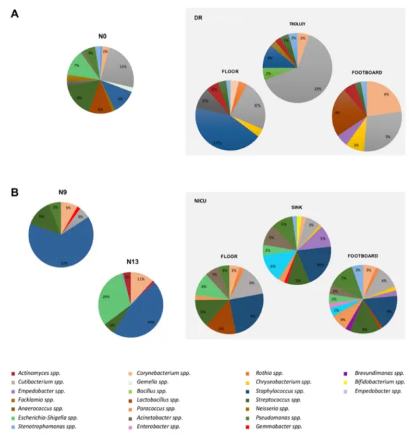 Figure 4. The predominant bacterial communities of nasal swabs from newborns in comparison 