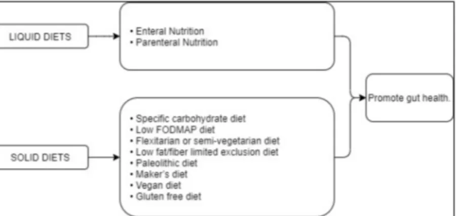 Figure 1. Synoptic view summarizing the different dietary regimens for the treatment of CD.