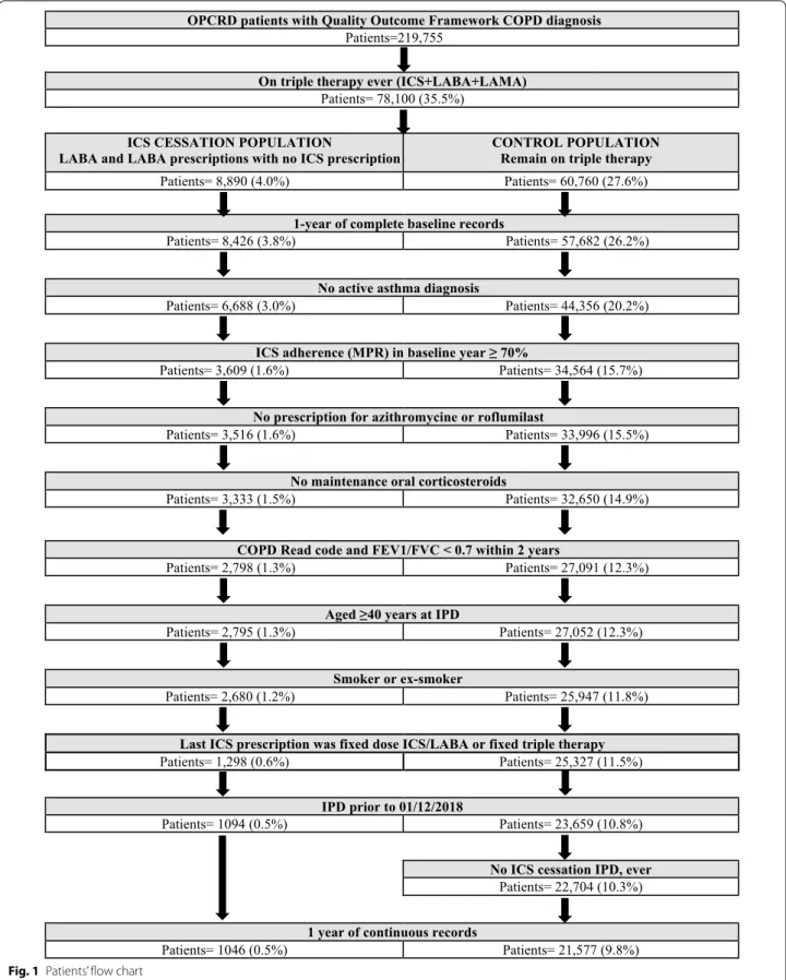 Fig. 1  Patients’ flow chart