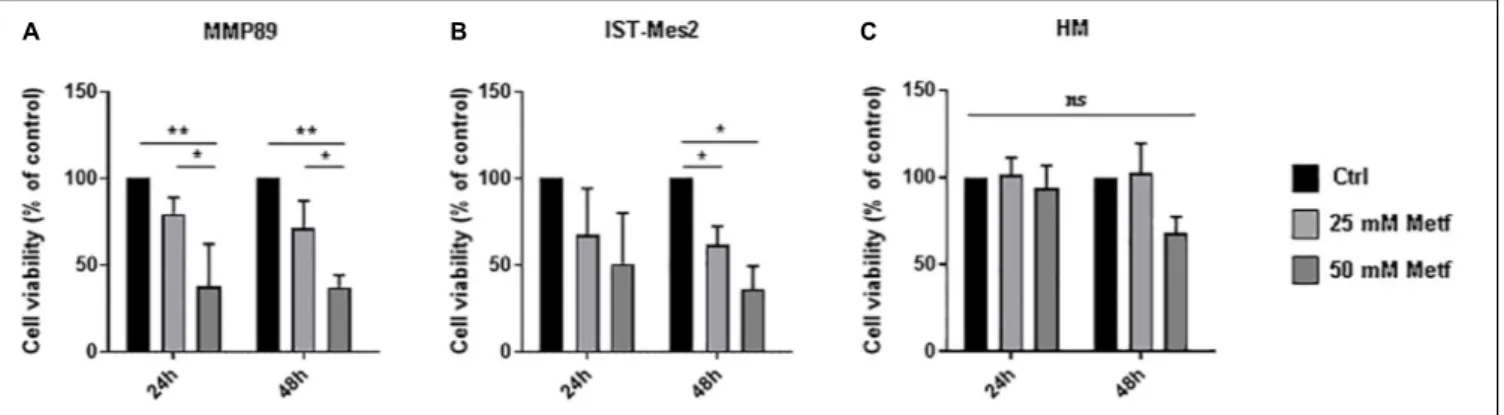 FIGURE 1 | Metformin inhibited the MPM cell viability. (A) Cell viability of MMP89, (B) IST-Mes2, and (C) human normal mesothelial (HM) cells after treatment with 25 or 50 mM metformin for 24 and 48 h