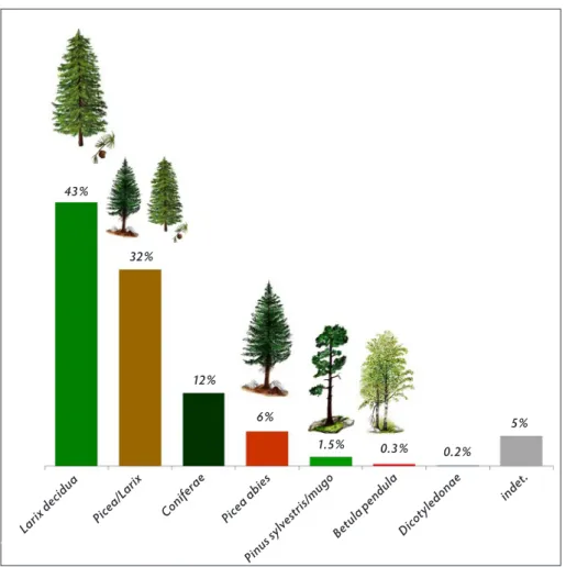 Fig. 3. Distribution percentages of the taxonomical units identified.
