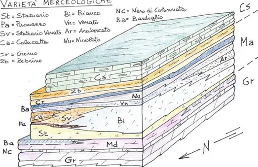 Fig. 3.3.1 - Schema stratigrafico dei marmi di Carrara (Mancini e Criscuolo - “Carrara Marmotec 2016”)
