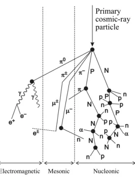 Figure 2.5 Scheme of the cosmic-ray cascading in the atmosphere. Sym- Sym-bols used are: n, neutron, p, proton (capital letters indicate particles  pro-duced in nuclear processes), α, alpha particle, e ˘ , electron and positron,