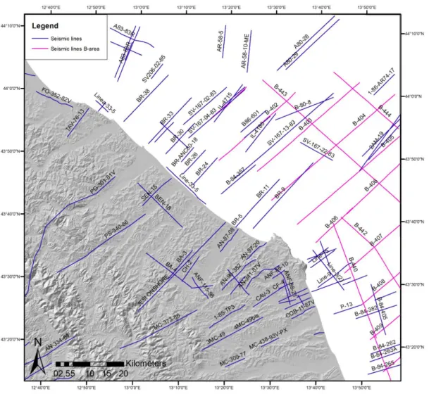 Fig. 3.6 - Database delle linee sismiche a riflessione ubicate nell’area di studio (da progetto  ViDEPI)