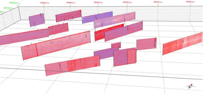 Figura 3.7- Visualizzazione tridimensionale di alcuni dei profili sismici convertiti in formato  seg-y e poi inseriti all’interno del software 3DMove 