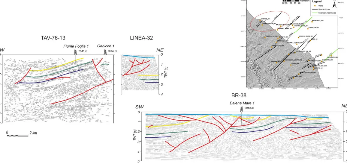 Fig. 3.13 – Linee sismiche e loro interpretazione tramite line drawing per il transetto più settentrionale dell’area di studio denominato “transetto Pesaro”