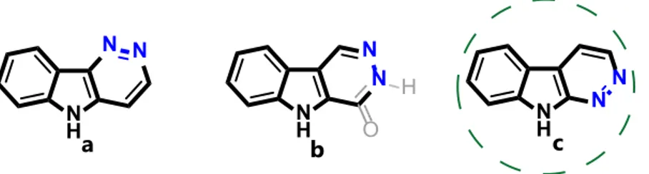 Figure 1. Different isomeric fused indole-pyridazine systems. 