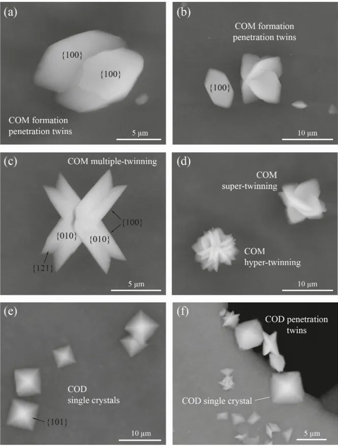 Fig 6. Scanning electron micrographs of various morphological types of COM and COD obtained in the absence (a-d) or presence (e, f) of different concentrations of C