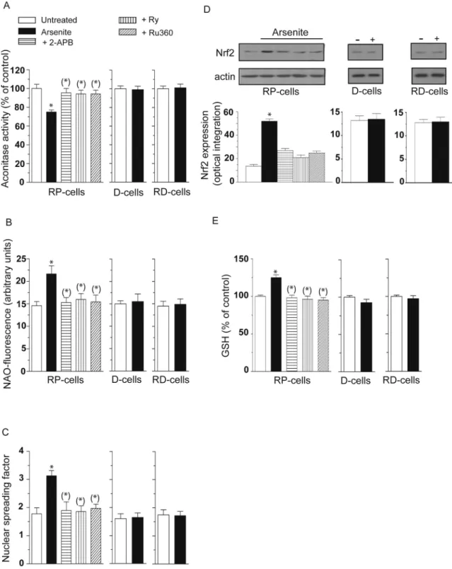 Fig. 3. Mitochondrial Ca 2+ accumulation critically mediates the toxic effects induced by arsenite in mitochondrial and extramitochondrial compart-