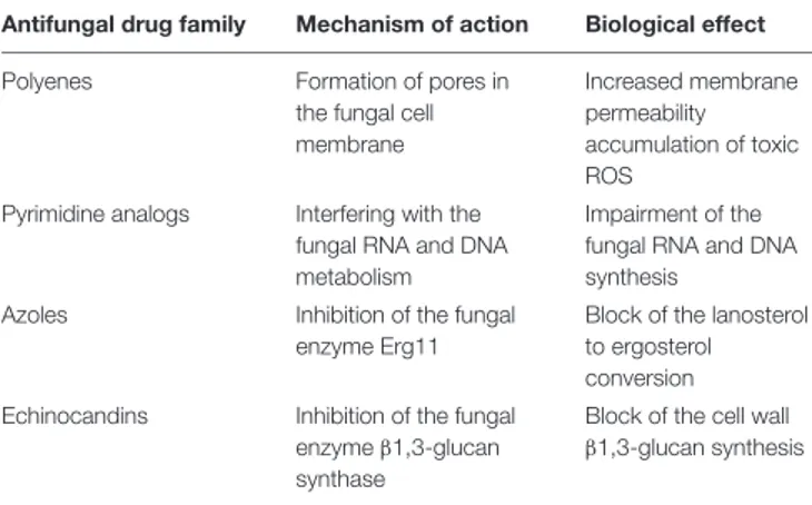 TABLE 1 | Current antifungal drugs described through their mechanism of action and biological effect.