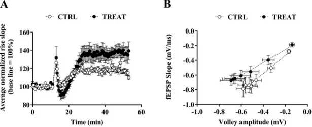 Figure 1. Effects of maternal creatine supplementation on basal synaptic transmission and long-term 