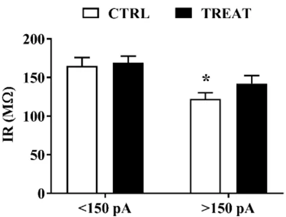 Figure 2. Creatine maternal supplementation affects input resistance in adult CA1 neurons