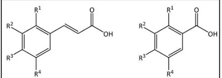 Fig. 3 Chemical structure of cinnamic and benzoic acids 