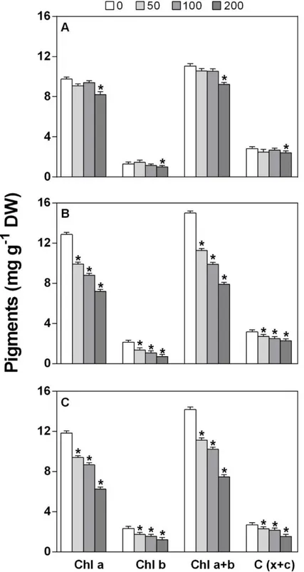 Fig. 1. Concentration of photosynthetic pigments after 5 (A), 12 (B), and 19 (C) days of exposure to 