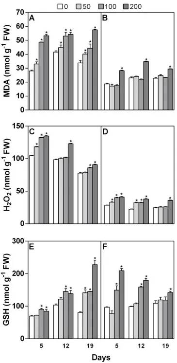 Fig. 3. Malondialdehyde (A, B), H 2 O 2  (C, D) and GSH (E, F) concentrations in shoots (A, C, E) and 