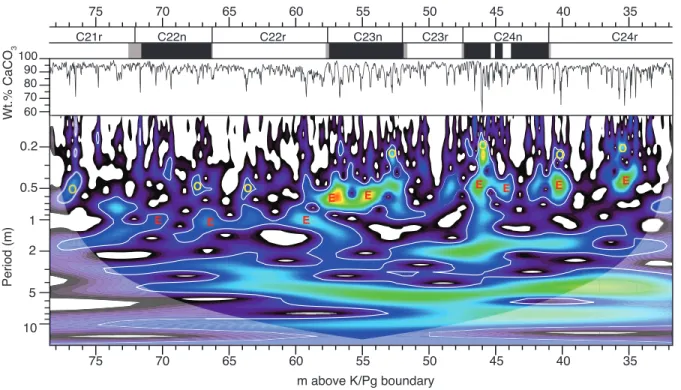 Figure 2.5: Evolutionary wavelet analysis for wt.% CaCO 3  content from the Contessa Road-Bottaccione 
