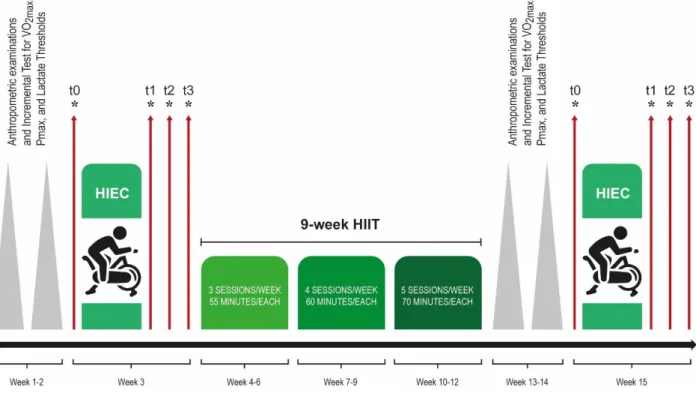 Figure  1:  Study  protocol  design.  High-Intensity  Endurance  Cycling  sessions  were 