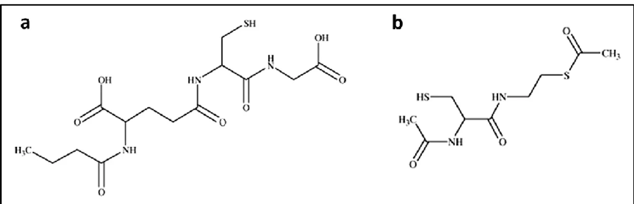 Figura 4. Struttura del derivato butanoile del GSH, il GSH-C4 (a) e dell’I-152 (b), un pro farmaco di NAC e 