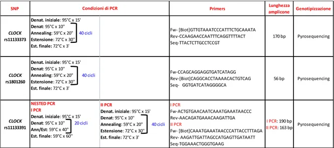 Tabella 10: condizioni di PCR e coppie di primer utilizzate per l’amplificazione di ciascun polimorfismo