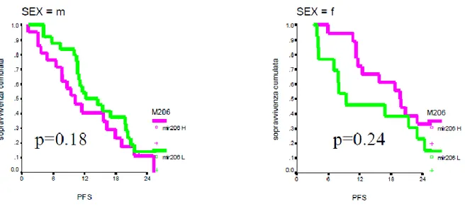 Figura 30: Curve Kaplan-Meier di PFS a 2 anni di pazienti maschi (m) e femmine (f) stratificati in base ai livelli di 