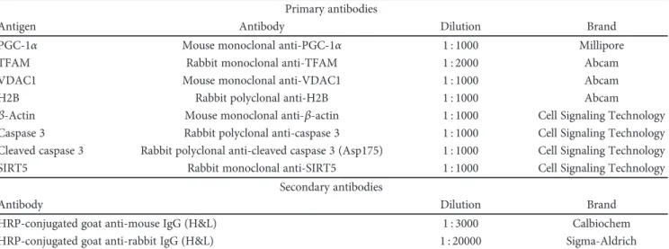 Table 2: Summary of used antibodies. Primary antibodies