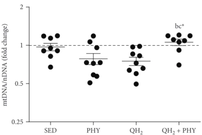 Figure 6: Fold change of copy number of mitochondrial DNA/ nuclear DNA (mtDNA/nDNA) measured on gastrocnemius muscle in sedentary (SED), physical exercise (PHY), ubiquinol (QH 2 ), and ubiquinol associated with physical exercise (QH 2 + PHY) mouse groups (