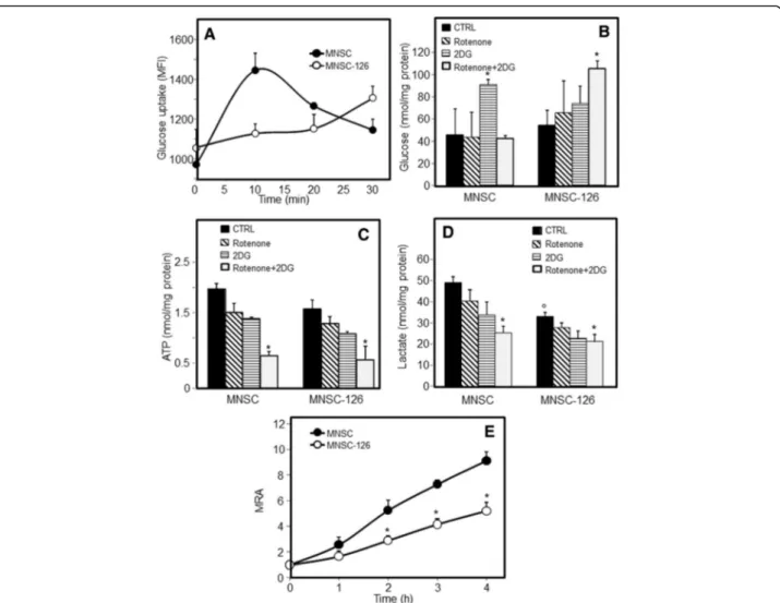 Fig. 3 MiR-126 affects glucose homeostasis and bioenergetic profile. MiR-126-transfected malignant nasal-septum carcinoma (MNSC-126) cells and their counterparts (parental MNSC cells) were evaluated for glucose uptake (a) using 2-NBDG (50 μM) in low-glucos