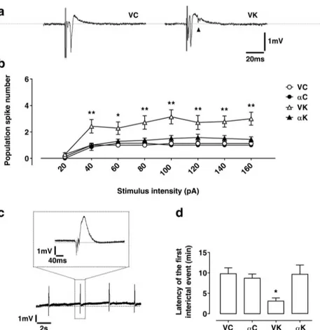 Fig. 1 Effect of α-tocopherol treatment on slice excitability in control and