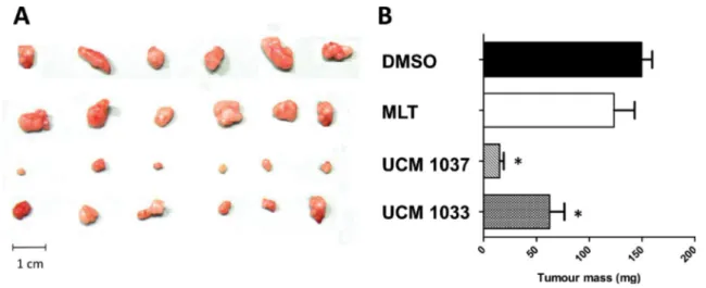 Figure 5: Antitumor activity of melatonin analogues in a xenograft mouse model.  DX3 xenograft mice were injected s.c