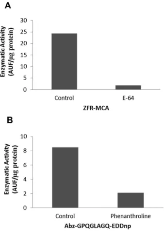 Fig. 4. Enzymes activity in G2 extract over the enzyme-speciﬁc substrates with and without (control) respective speciﬁc inhibitors