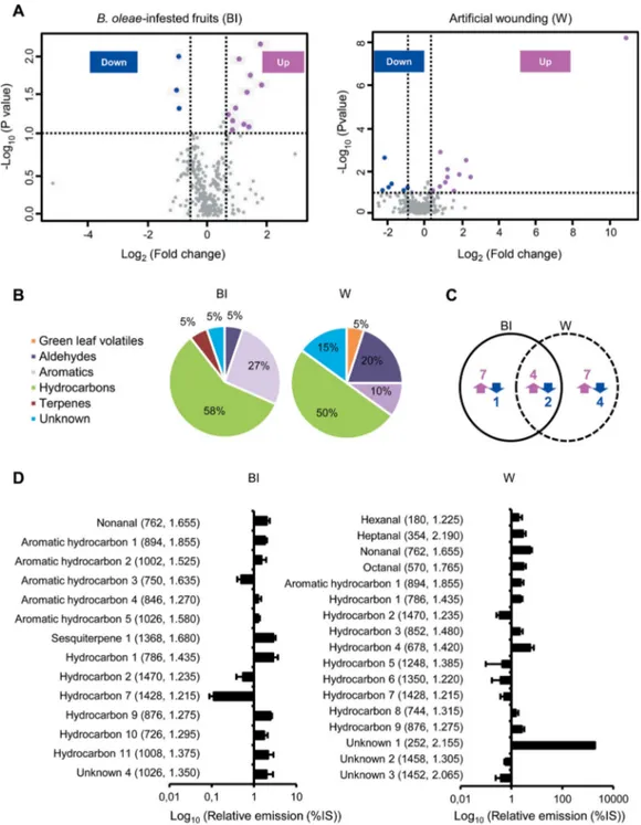 Figure 4. Bactrocera oleae feeding and artiﬁcial wounding affect volatile organic compounds (VOCs) of olive (Olea europaea) fruits