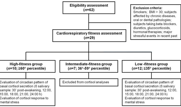 Fig 1. Flowchart of the study participants. Age-specific percentiles for cardiorespiratory fitness were retrieved from [ 36 ]
