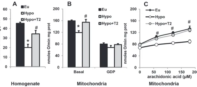 Figure 7. Effects of hypothyroidism and T2 administration to Hypo rats on mitochondrial respiration rate