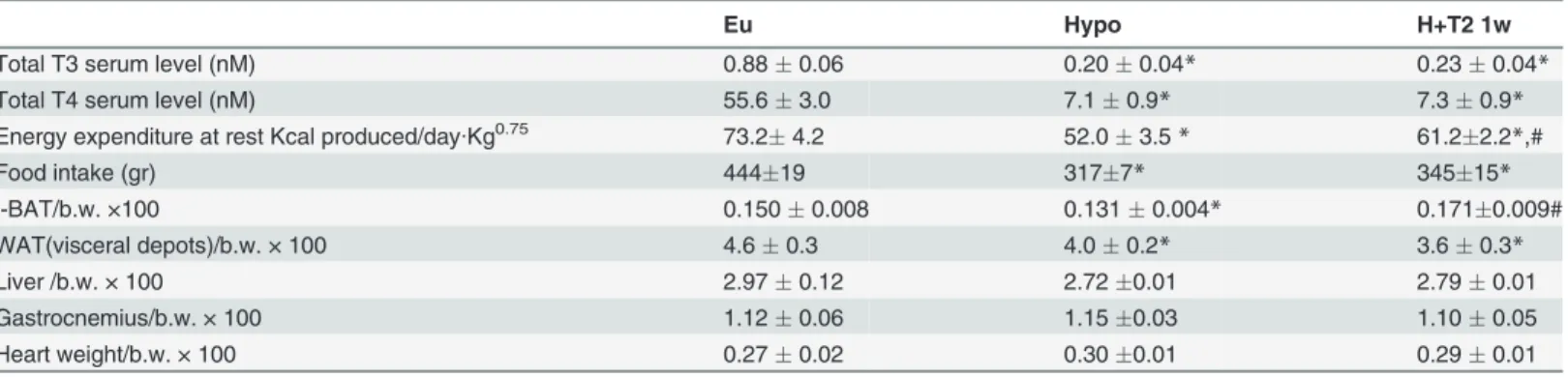 Table 1. Effect of hypothyroidism and T2 administration to hypothyroid rats on rat resting energy expenditure and on the contribution of different tissues to rat total body weight.