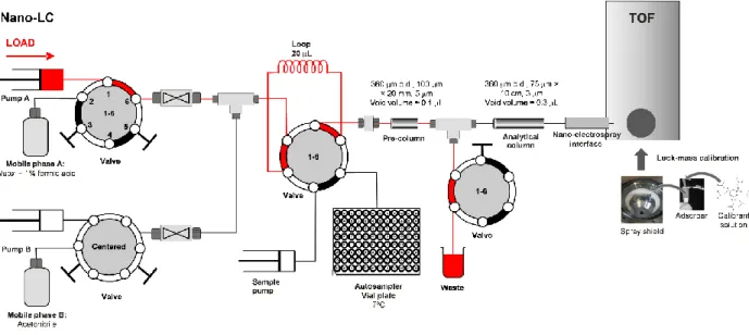 Figura 17. Schema di un sistema nano LC-MS con sorgente nano-electrospray (62). 