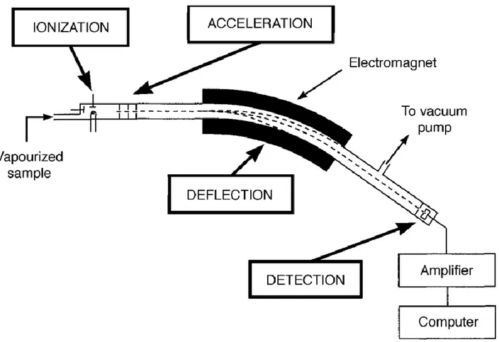 Figura 24. Esempio di spettrometro di massa a settore magnetico; importante notare la presenza del vuoto  anche nell’analizzatore (88)