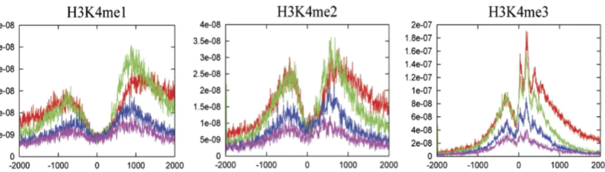 Figure  5.  H3K4  methylation  status.  Different  H3K4  methylation  profiles  near  the 