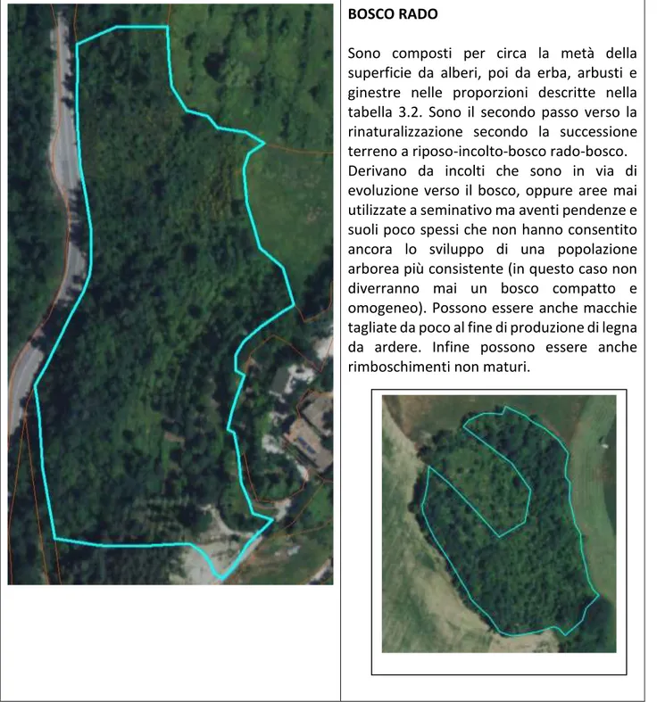 Fig. 3.7 – foto aerea e descrizione della classe di uso del suolo “bosco rado” 