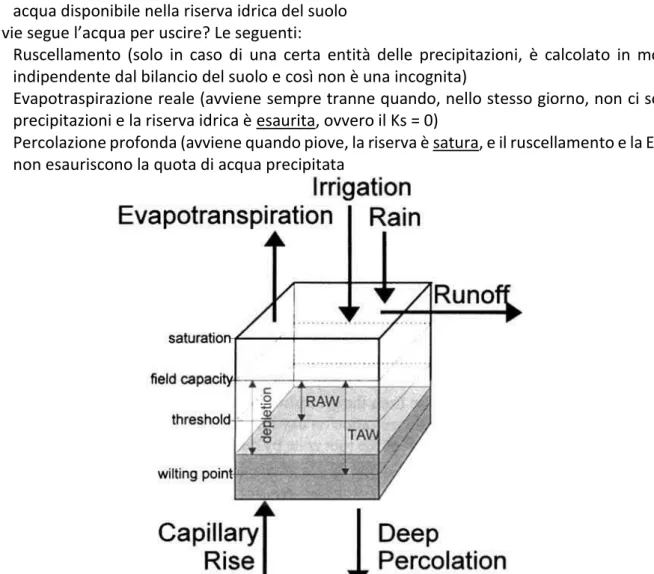 Fig. 4.4 – modello di bilancio idrico del suolo utilizzato. Non è stata considerata la risalita capillare e  non c’è irrigazione 