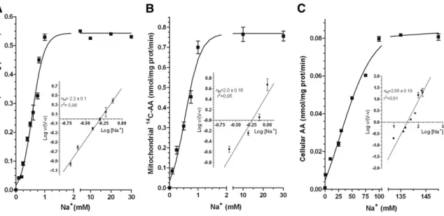 Figure  7.  Na + -dependence  of  AA  transport  in  mitochondria  isolated  from U937 cells and in intact Raw 264.7 cells