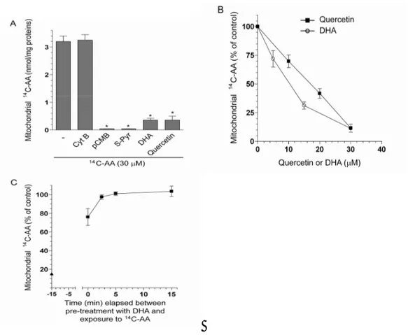 Figure  11.  DHA-dependent  inhibition  of  AA  uptake  in  isolated  mitochondria  from  U937  cells