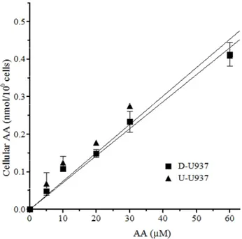Figure  13.  No  effect  of  U937  cells  differentiation  on  the  rate  of  cellular uptake of low concentrations of AA