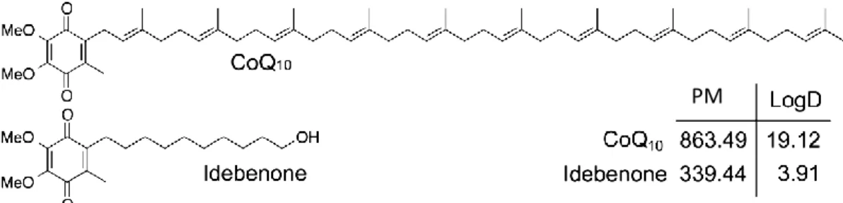 Fig.  10.  Struttura  chimica  dei  due  chinoni  CoQ 10  e  IDE.  Le  dieci  unità  isopreniche  contenute  nella  catena 