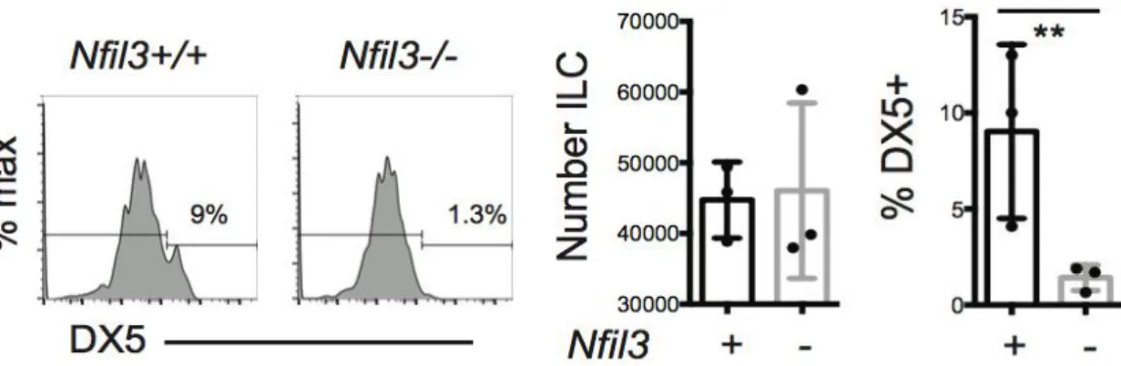Figure  11:  histograms  showing  DX5  expression  on  thymic  ILC-like  cells  from  Nfil3+/+  and  Nfil3-/- 