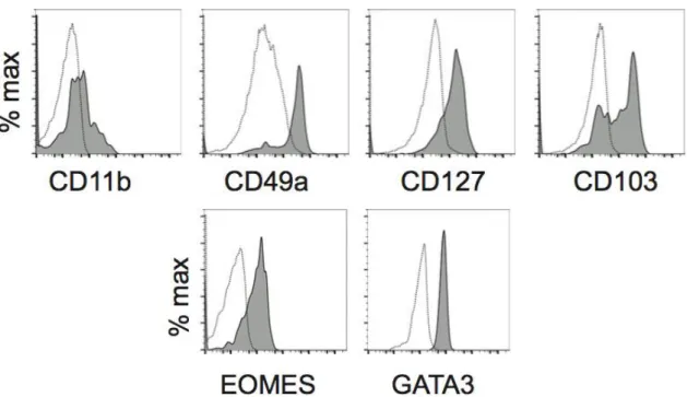 Figure 14: On the top: Surface expression of CD11b, CD49a, CD127 and CD103 for DX5+ tNK cells
