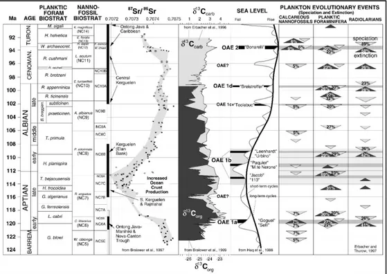 Fig. 1.1. The late early-Cretaceous record of major black shales and oceanic anoxic events (OAEs)  in the context of the carbon isotopic record (Erbacher et al., 1996; Bralower et al., 1999), changing  global  sea  level  (Haq  et  al.,  1988),  seawater  